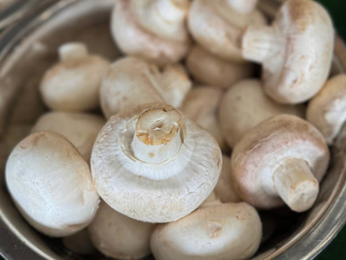 قارچ سفید یا کلاهک یک دست و رنگ روشن